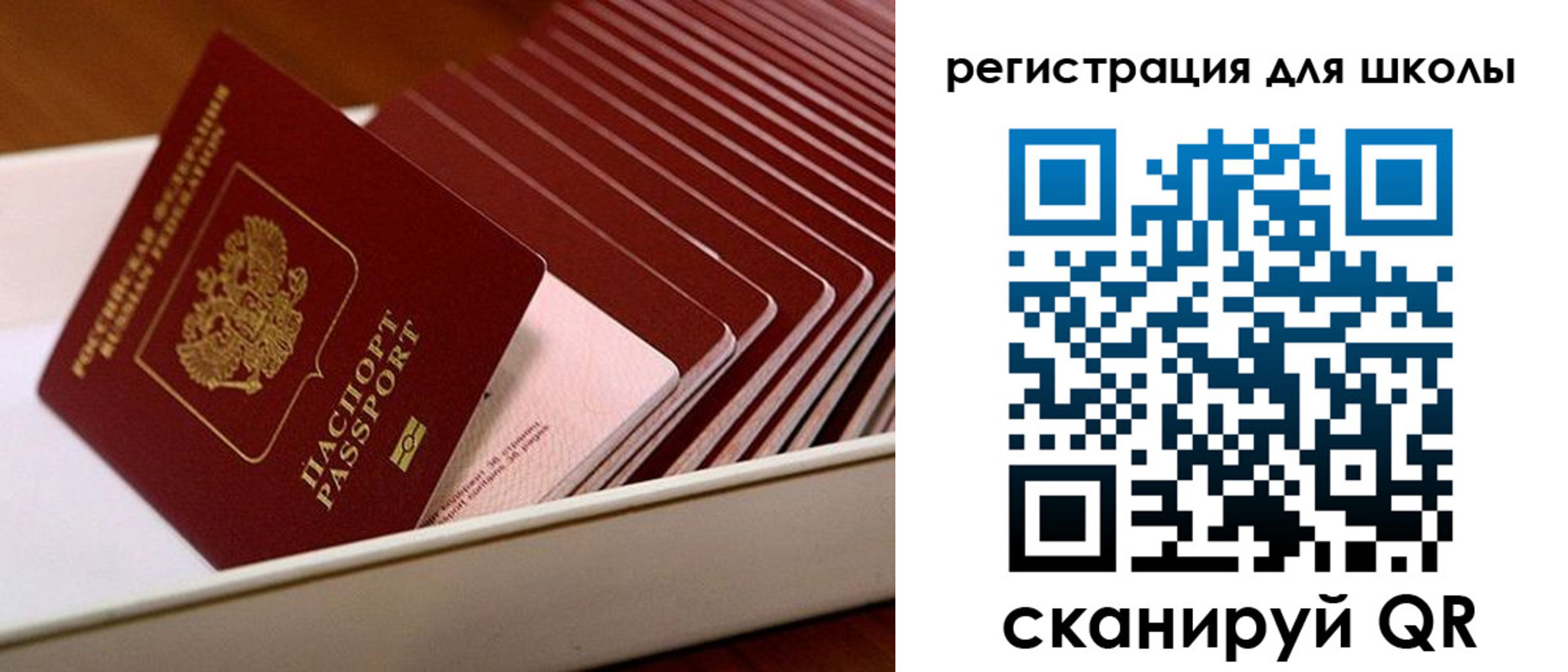 прописка гарантия в Тимашёвске
